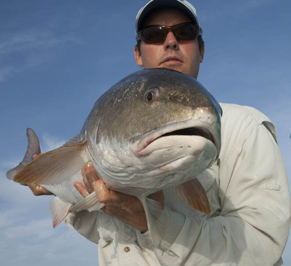 Fliegenfischen auf Redfish